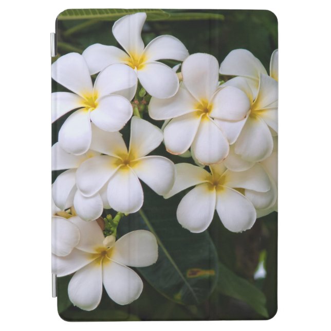 Plumeria Cascade Tropical Flowers iPad Air Cover (Front)