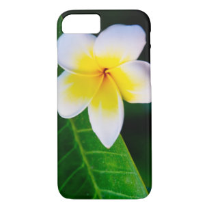 plumeria iPhone 8/7 case