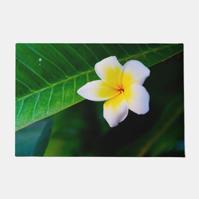 plumeria doormat (Front)