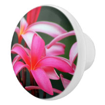 Plumeria drawer pull