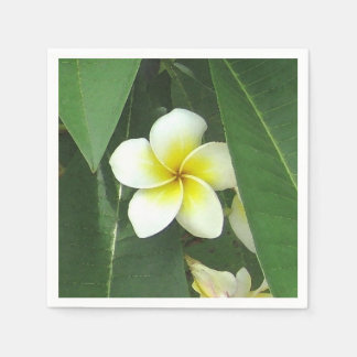 Plumeria Extreme Paper Napkins