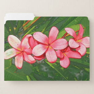 plumeria file folder
