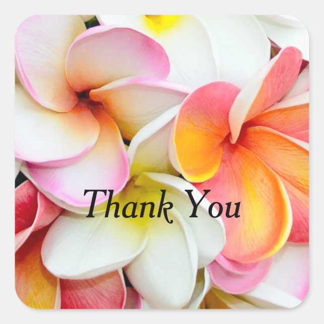 Plumeria Flower Colorful Petals Thank You Square Sticker (Front)