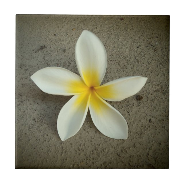Plumeria flower hawaiian decorative tile (Front)