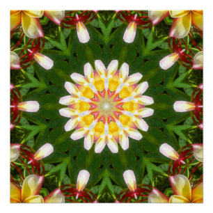 Plumeria Flower Mandala with Tropical Symmetry Poster