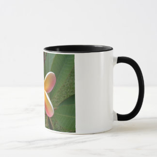 Plumeria Flower - Oahu Hawaii Mug