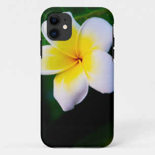 Plumeria Flower Photography iPhone 11 Case
