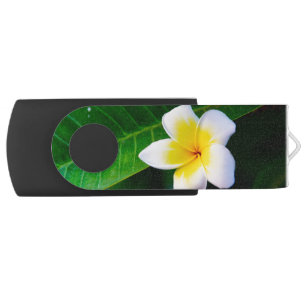Plumeria Flower Photography Flash Drive