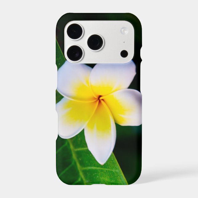Plumeria Flower Photography iPhone Case (Back)