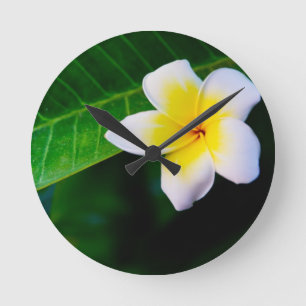 Plumeria Flower Photography Round Clock