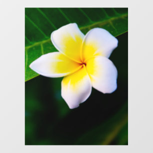 Plumeria Flower Photography Wall Decal