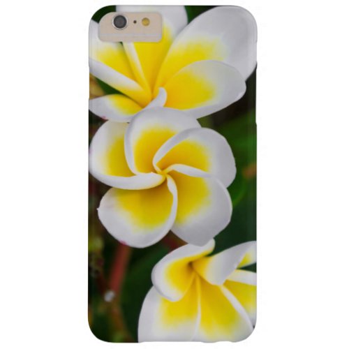 Plumeria flowers close_up Hawaii Barely There iPhone 6 Plus Case