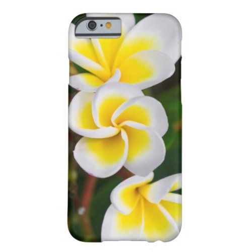 Plumeria flowers close_up Hawaii Barely There iPhone 6 Case