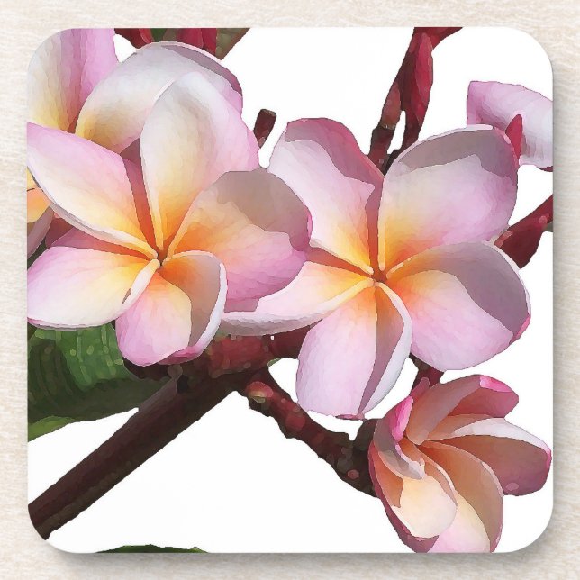 Plumeria Flowers Cork Coaster (Front)