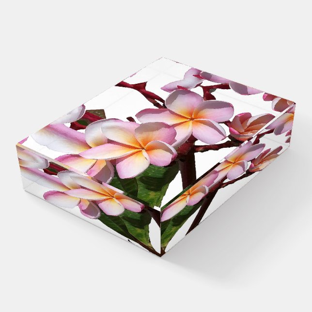 Plumeria Flowers Floral Photography Paperweight (Angled)