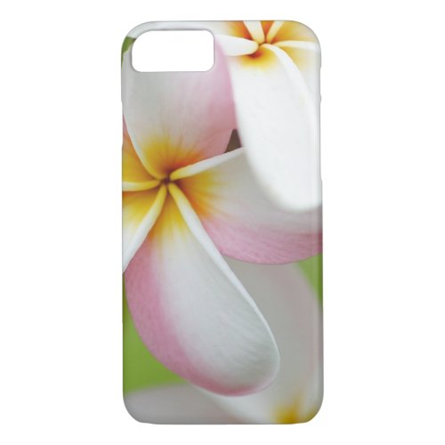 Plumeria Flowers Hawaiian Frangipani Floral Flower iPhone 87 Case