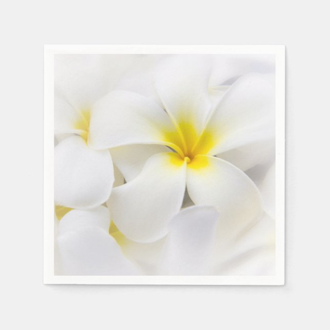 Plumeria Flowers Hawaiian Frangipani Floral Flower Paper Napkins (Front)