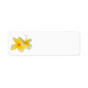 Plumeria Flowers Hawaiian White Yellow Frangipani Label