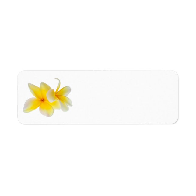 Plumeria Flowers Hawaiian White Yellow Frangipani Label (Front)