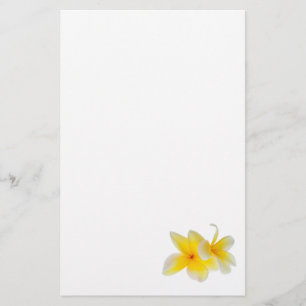 Plumeria Flowers Hawaiian White Yellow Frangipani Stationery