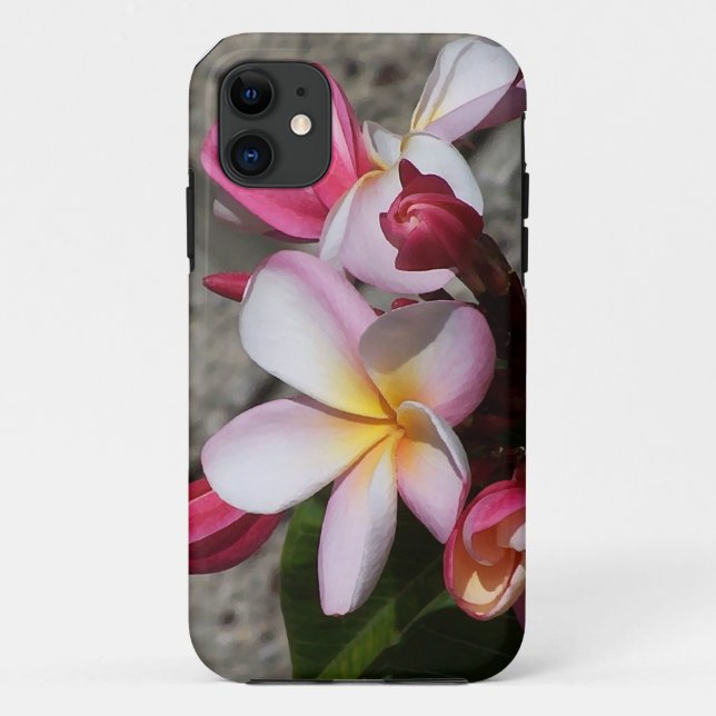 Plumeria Flowers iPhone 5 Case (Back)