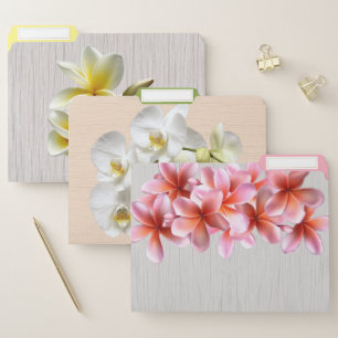 Plumeria Flowers Orchids Wood Look File Folder