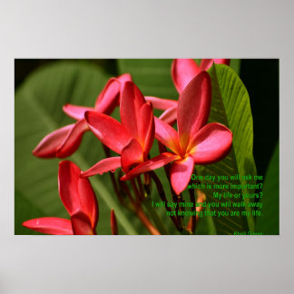 Plumeria flowers photo with Khalil Gibran quote Poster