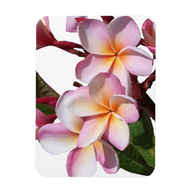Plumeria Flowers Premium Magnet (Vertical)