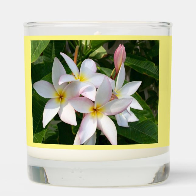 Plumeria Flowers Vanilla Scented Candle (Back)