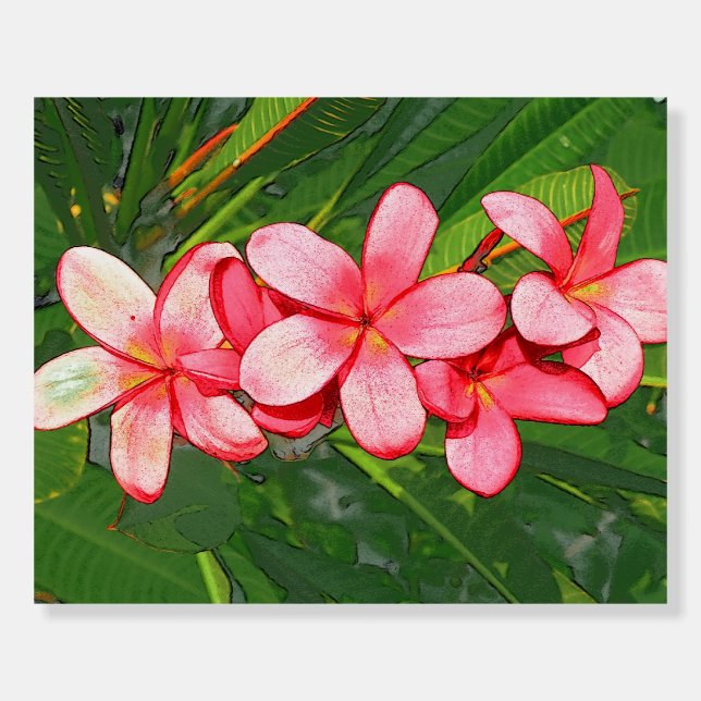 Plumeria Foam Board (Front)