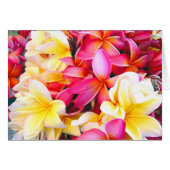 Plumeria Frangipani Floral Photo Digital Painting (Front Horizontal)