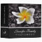 Plumeria Frangipani Flower Family Photo Books #2