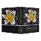 Plumeria Frangipani Flower Family Photo Books #2
