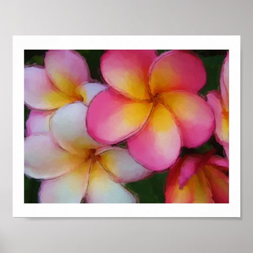 Plumeria Frangipani Flowers Watercolor Sketch Poster