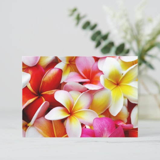 Plumeria Frangipani Hawaii Flower Customized (Standing Front)