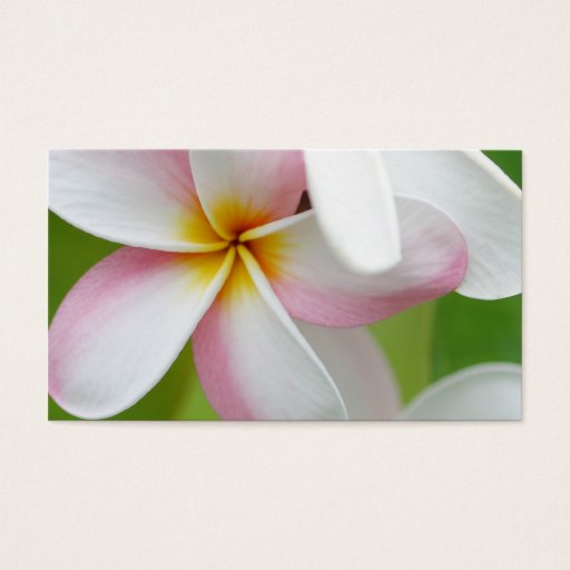 Customizable Plumeria Frangipani Hawaii Flower Customized Blank Business Card