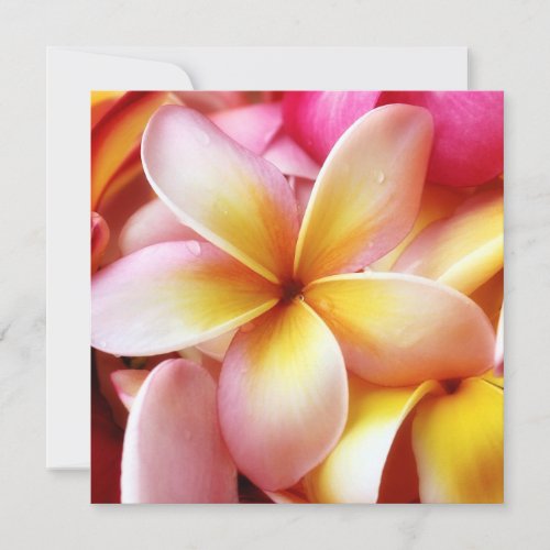 Plumeria Frangipani Hawaii Flower Customized Blank Personalized Invitation