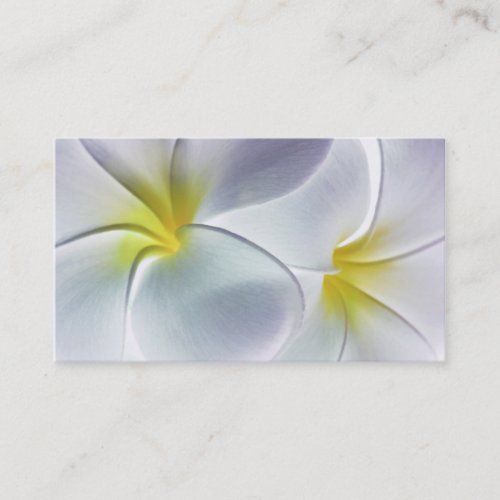 Plumeria Frangipani Hawaii Flower Customized Blank Business Card