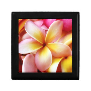 Plumeria Frangipani Hawaii Flower Customized Blank Jewelry Box