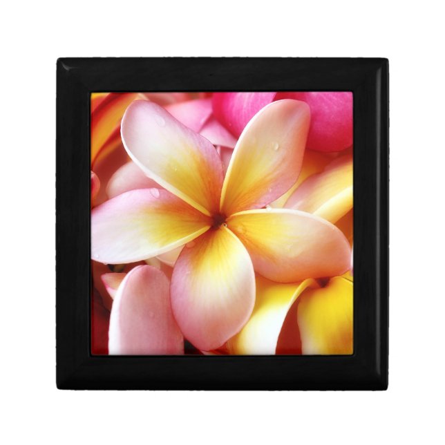 Plumeria Frangipani Hawaii Flower Customized Blank Jewelry Box (Front)