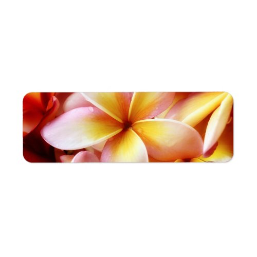 Plumeria Frangipani Hawaii Flower Customized Blank Label