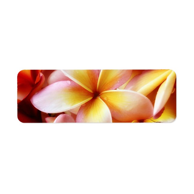 Plumeria Frangipani Hawaii Flower Customized Blank Label (Front)