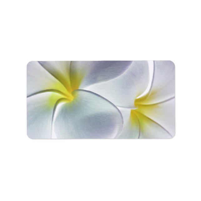 Plumeria Frangipani Hawaii Flower Customized Blank Label (Front)