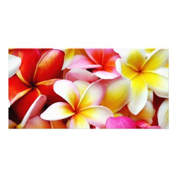 Plumeria Frangipani Hawaii Flower Customized Card by SilverSpiral at Zazzle