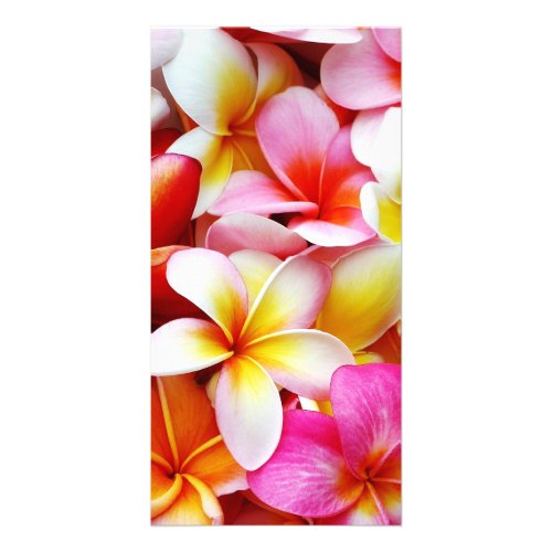 Plumeria Frangipani Hawaii Flower Customized Card