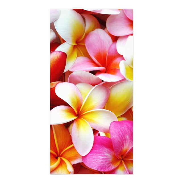 Plumeria Frangipani Hawaii Flower Customized Card (Front)