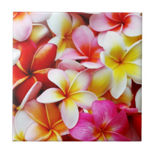 Plumeria Frangipani Hawaii Flower Customized Ceramic Tile