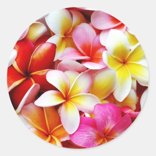 Plumeria Frangipani Hawaii Flower Customized Classic Round Sticker