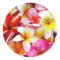 Plumeria Frangipani Hawaii Flower Customized