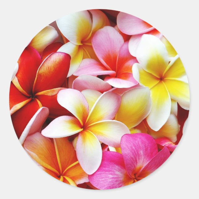 Plumeria Frangipani Hawaii Flower Customized Classic Round Sticker (Front)